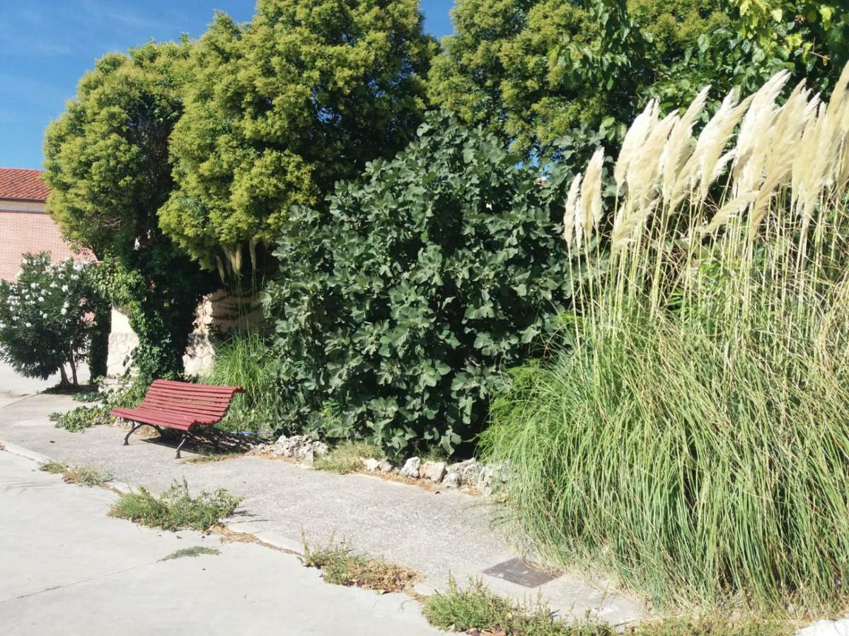 Casa Rural De Anil - Jardin Privado, Wifi, Netflix Y Aire Acondicionado Pensionat Velliza Exteriör bild